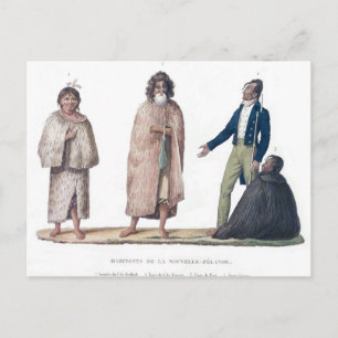 Natives of New Zealand Postcard