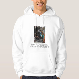 nativity, JESUS WAS BORN IN A STABLE ENVIRONMENT Hoodie