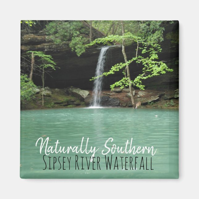 Natrually Southern Sipsey Waterfall Magnet (Front)