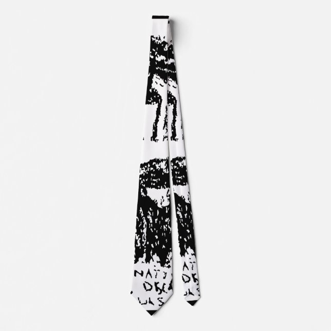 NATTY DREAD RIDES AGAIN TIE (Front)