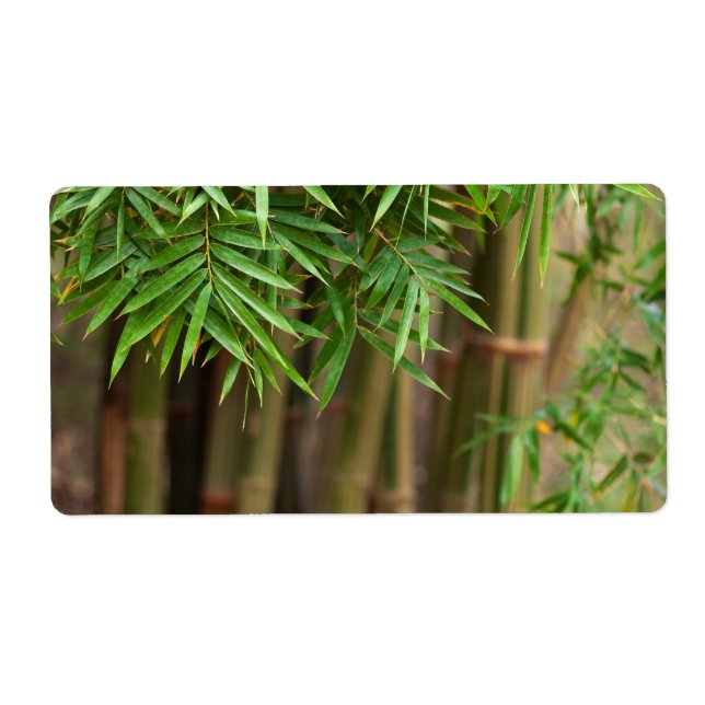 Natural Bamboo Zen Background Customized Template (Front)
