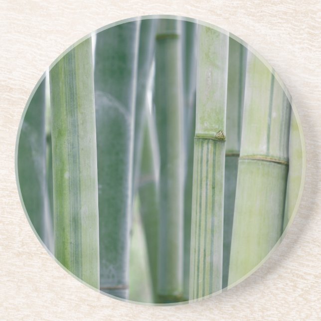 Natural Bamboo Zen Background Customized Template Coaster (Front)