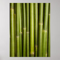 Natural Bamboo Zen Background Customized Template