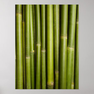 Natural Bamboo Zen Background Customized Template Poster