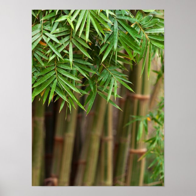 Natural Bamboo Zen Background Customized Template Poster (Front)