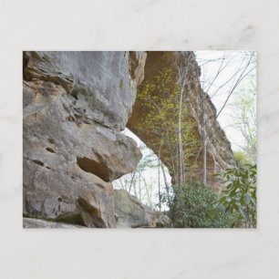 Natural Bridge Kentucky Postcard