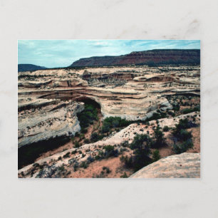 Natural Bridges National park Postcard