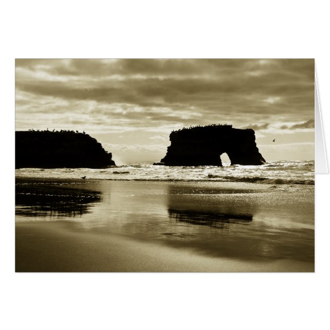 Natural Bridges State Beach (Front Horizontal)