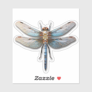 Natural Colored Dragonfly With Shadow