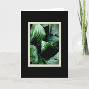 Natural Delicacies 104 Card