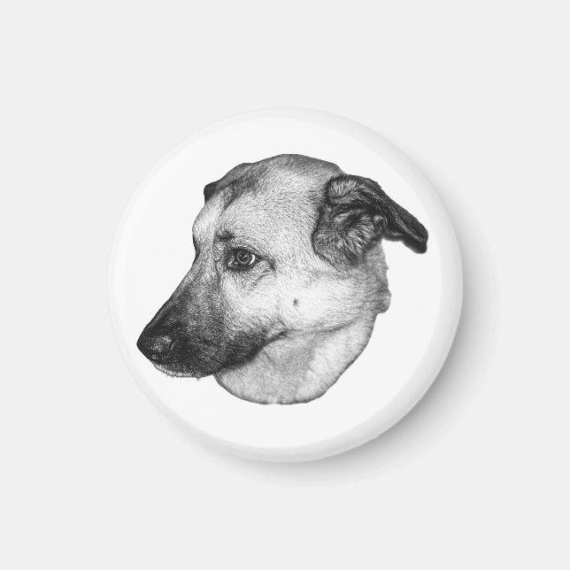 Natural Focus, Dog Magnet (Front)