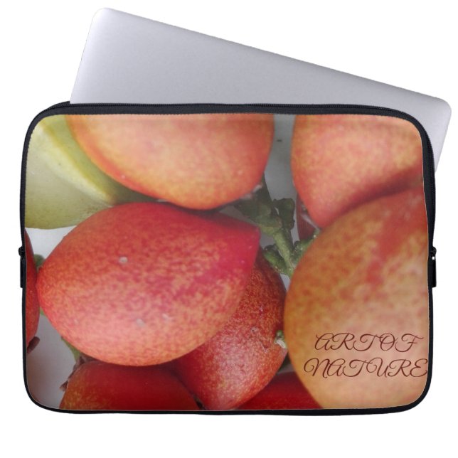 Natural fruit art gift of daughters day valentine laptop sleeve (Front)