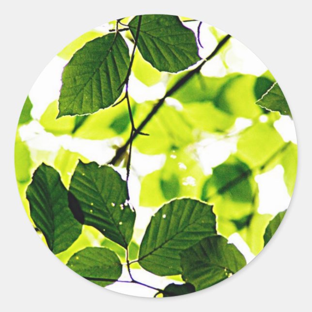 natural  Green leaf leaves Trees Earth Beautiful D Classic Round Sticker (Front)