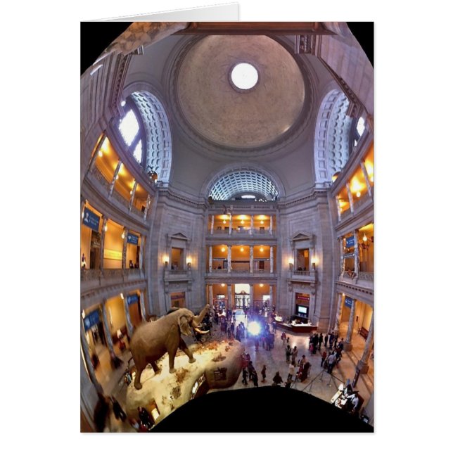 Natural History Museum (Front)