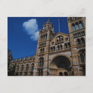 Natural History Museum Postcard