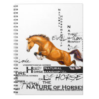 Natural Horsemanship by Insima