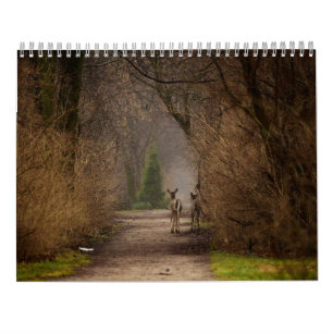Natural Influence Photography 2016 Calendar