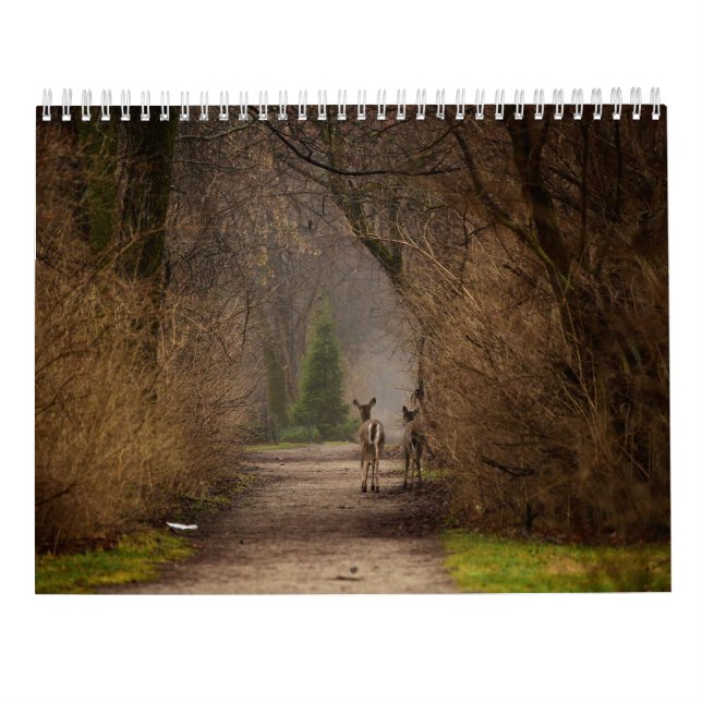Natural Influence Photography 2016 Calendar (Back)