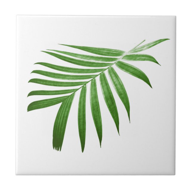 Natural Modern Palm Leaf Tile (Front)