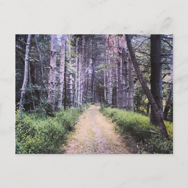 Natural Perfection Postcard (Front)