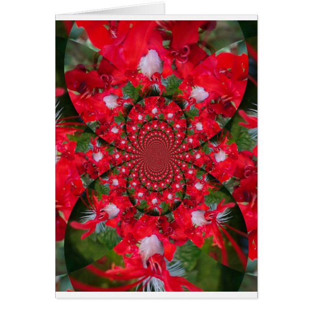 Natural Red Flower White Feather Kaleidoscope Art (Front)