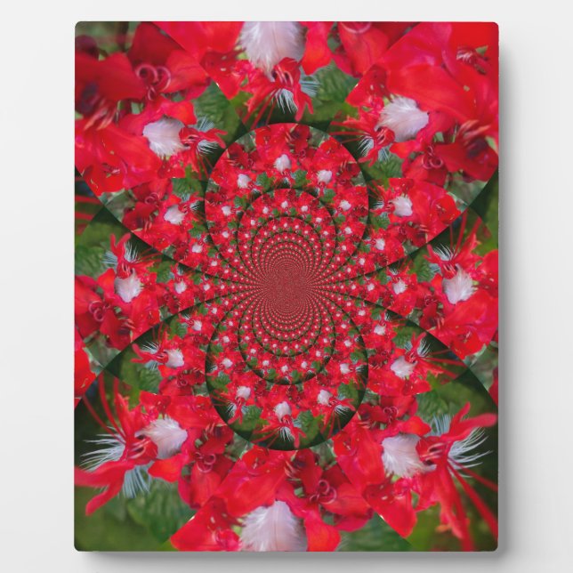 Natural Red Flower White Feather kaleidoscope art  Plaque (Front)