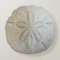 Natural Sand Dollar Round Coastal Decor