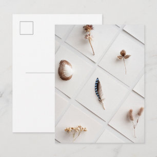 Natural Specimen Collection Minimalist Postcard