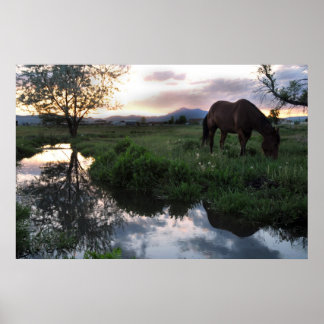 Natural Sunset Poster