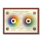 Natural System of Colours - Light