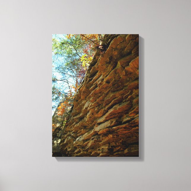 Natural Wall of Layered Rock on Canvas (Front)
