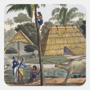 Naturalists question natives near Kupang, Timor, p Square Sticker