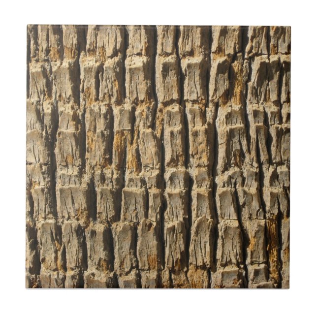Naturally Cool Surfaces_Palm Tree Bark Tile (Front)