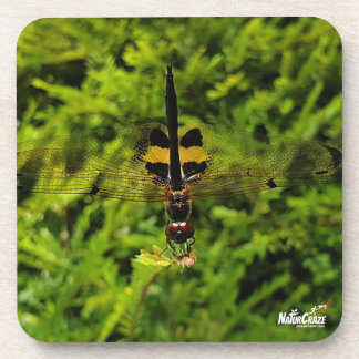 NaturCraze B&Y Dragonfly dessous de verre en plast