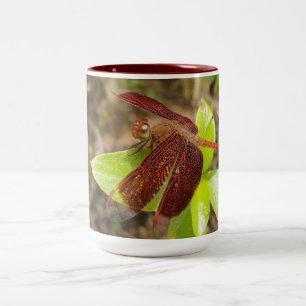 NaturCraze Red and Black Dragonfly Mug