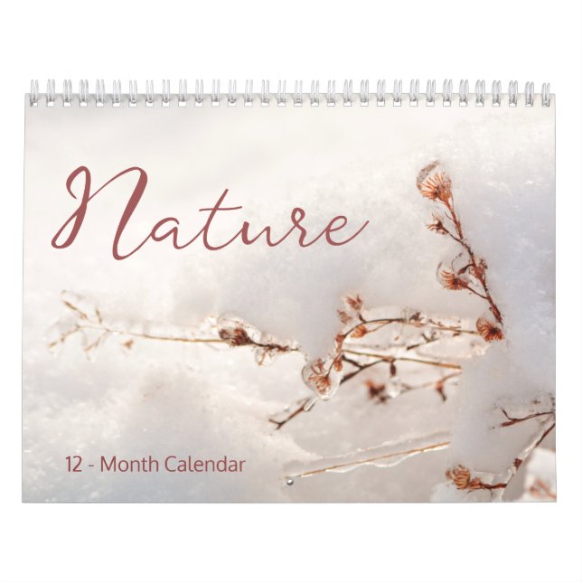 NATURE 12 - Calendrier saisonnier des mois (Protection)