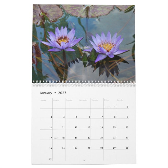 Nature 2013 calendar (Jan 2027)