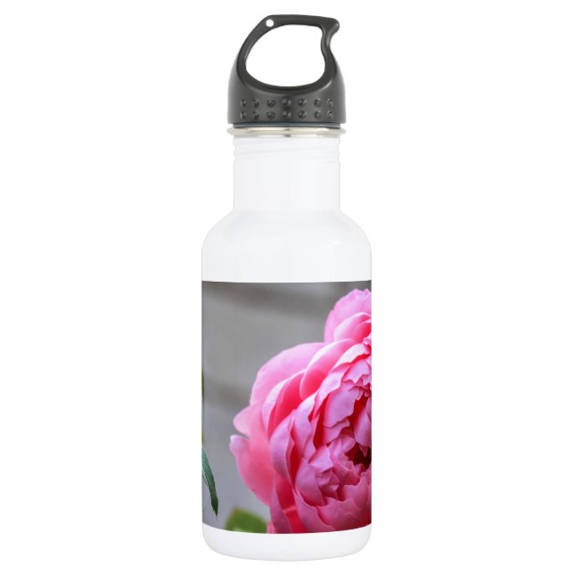 Nature 532 Ml Water Bottle (Front)