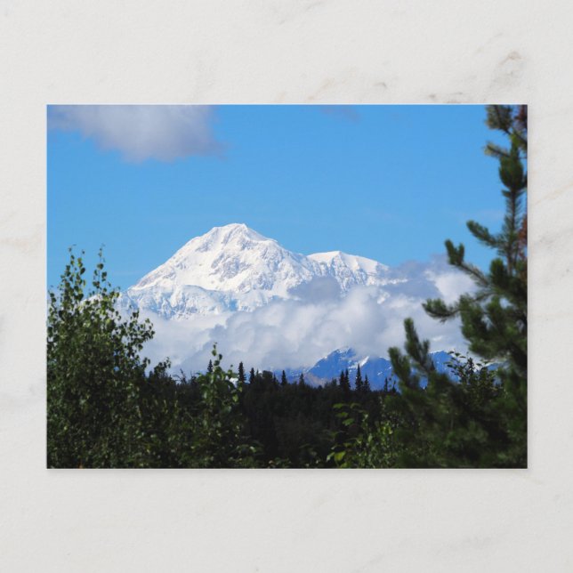 Nature Alaska Denali Scenery Photo Postcard (Front)