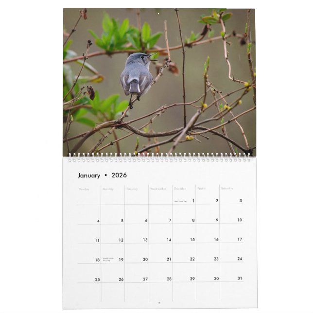 Nature and Animals Calendar (Jan 2026)