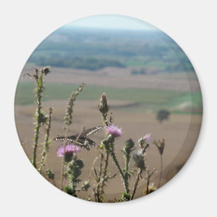 Nature and Butterfly Photo Magnet