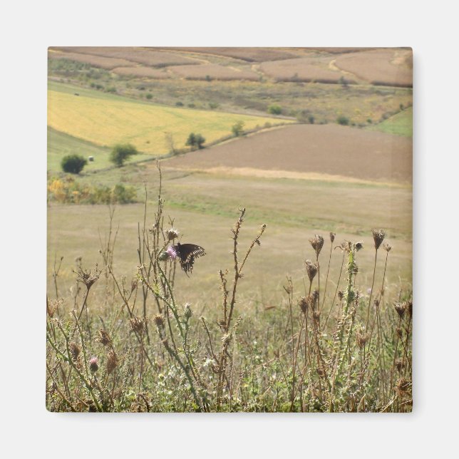 Nature and Butterfly Photo Magnet (Front)