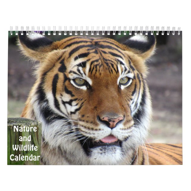 Nature and Wildlife Calendar (Cover)