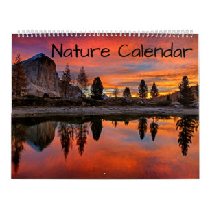 Nature Animal Earth Welcome Home Destiny Destiny'S Calendar