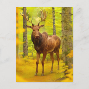 *~* Nature AP49 MOOSE Woods Forest Fall Yellow Postcard