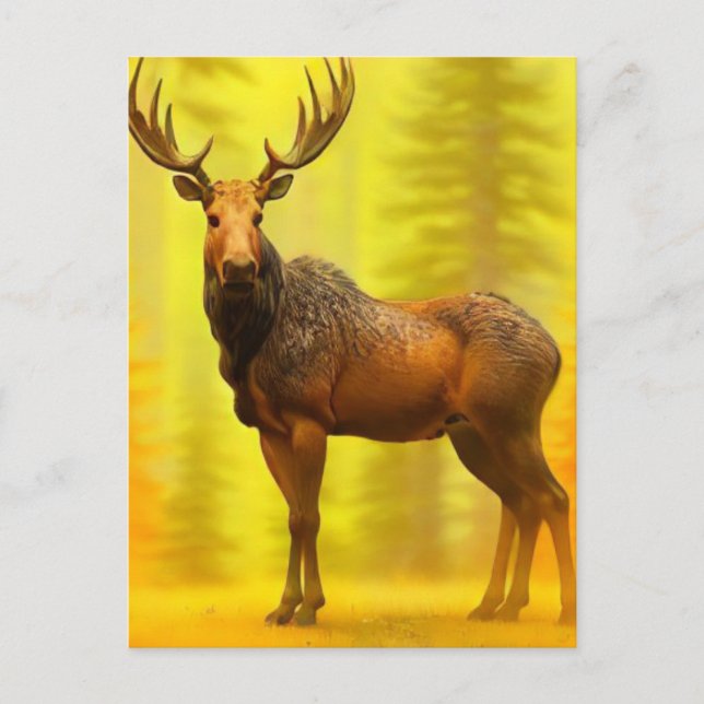 *~* Nature AP49 MOOSE Woods Forest Fall Yellow Sun Postcard (Front)