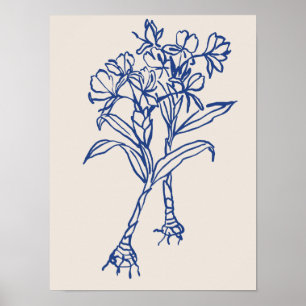 Nature art poster collection