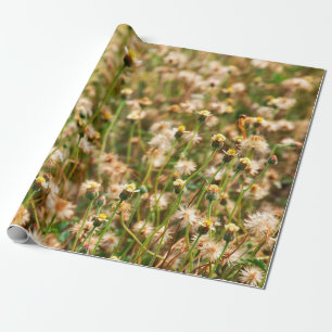 Nature background with grass flowerbackground, bea wrapping paper