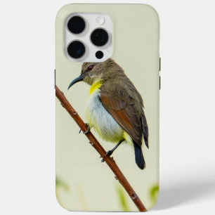 Nature Bird Phone Case