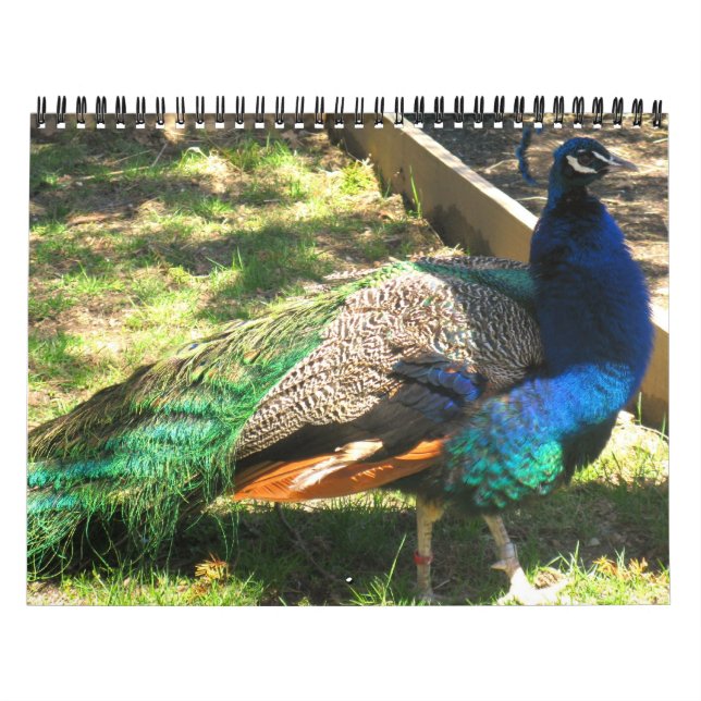Nature - Birds - Landscape 12 Month Calendar (Cover)